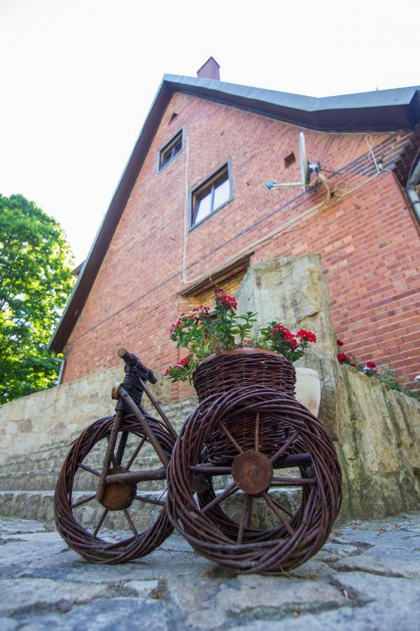 Willa Alkor Drzensko (Lubusz) Exterior foto