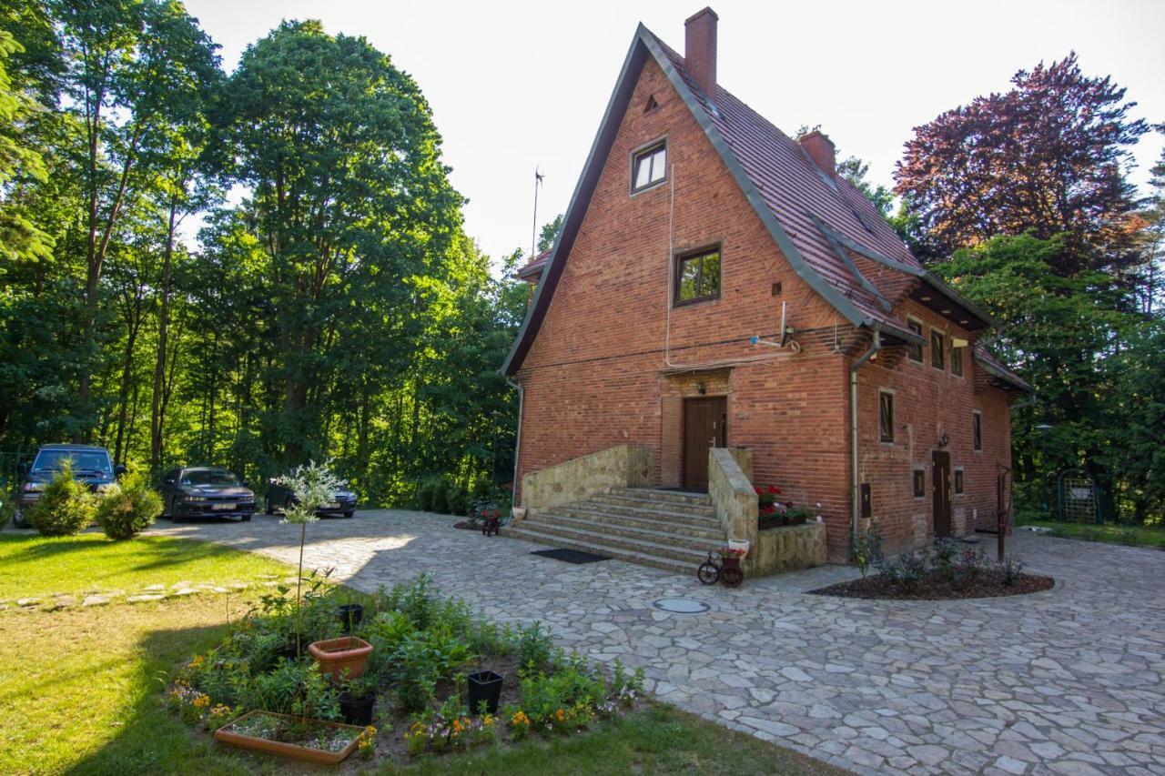 Willa Alkor Drzensko (Lubusz) Exterior foto